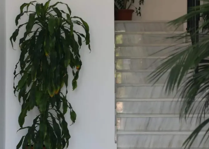 Conil - Casa Pilar * Conil De La Frontera